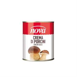 CREMA DI PORCINI