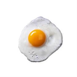 FRIED EGG