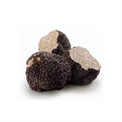 TARTUFO Nero di Colliano