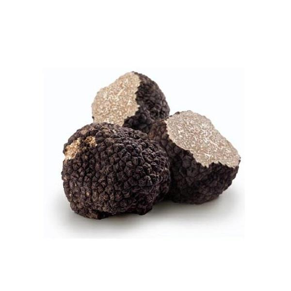 TARTUFO Nero di Colliano
