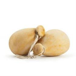 CACIOCAVALLO STAGIONATO