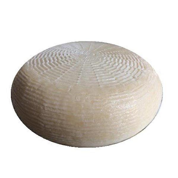 CACIOTTA STRACCHINATA
