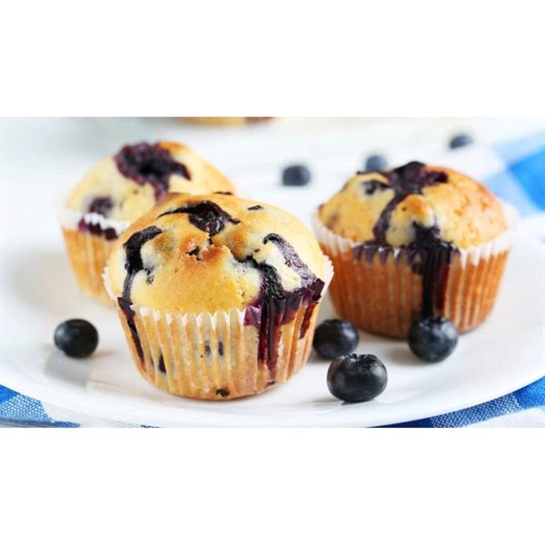 MUFFIN YOGURT & MIRTILLO 20*100 gr