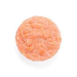 FISH BURGER DI SALMONE