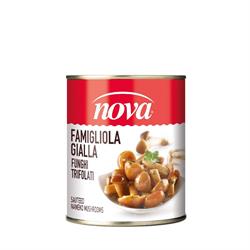 FUNGHI FAMIGLIOLA GIALLA TRIFOLATI