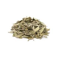 SALVIA Liofilizzata