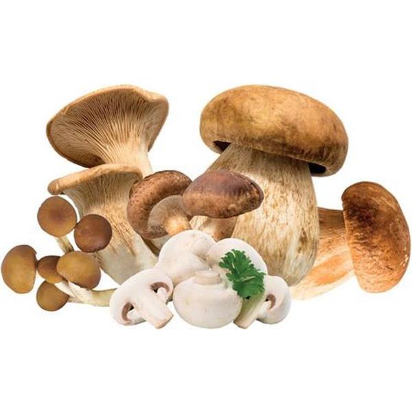 FUNGHI MISTI C/PORCINI