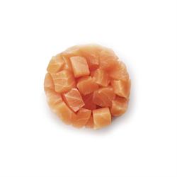 TARTARE di SALMONE