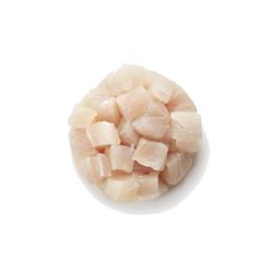 TARTARE di RICCIOLA